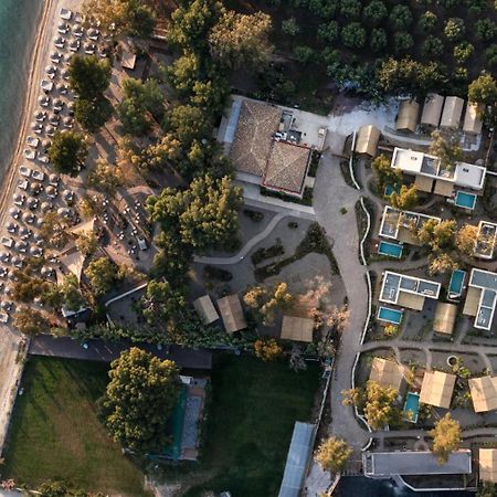 Ergon Beach House Nikiti Екстериор снимка